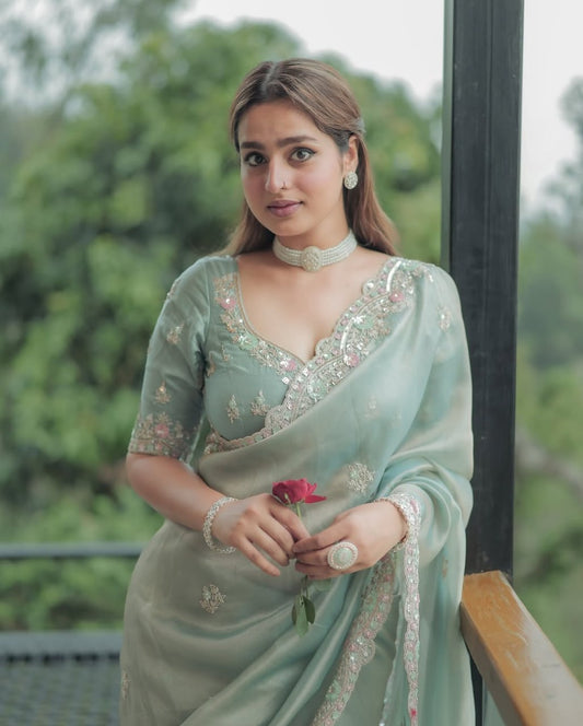 Je recherche quelqu'un pour ce magnifique sari de la même couleur