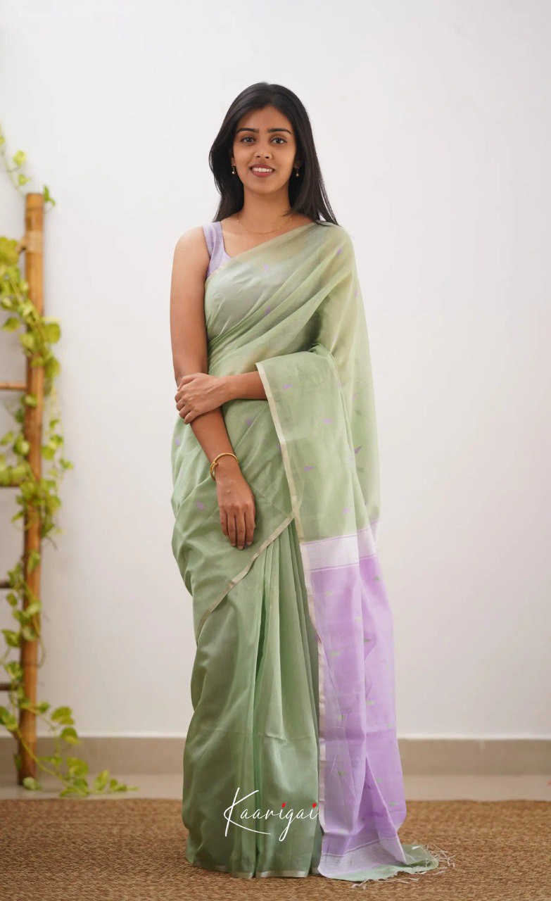 SARI EN COTON SLA LILAN DOUX, MAGNIFIQUE, À RICHE CONTRASTE, PALLU ET JACQUARD