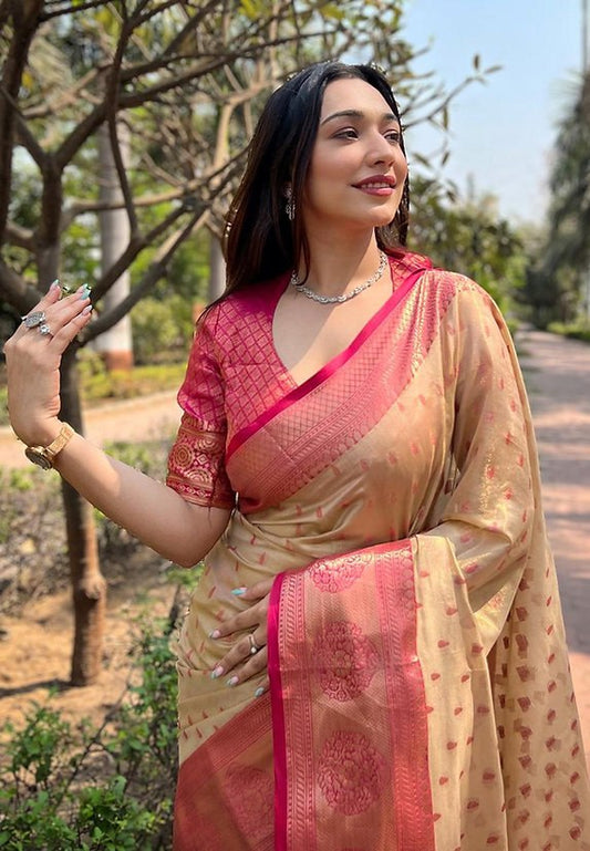 Banarasi Soft Silk Saree