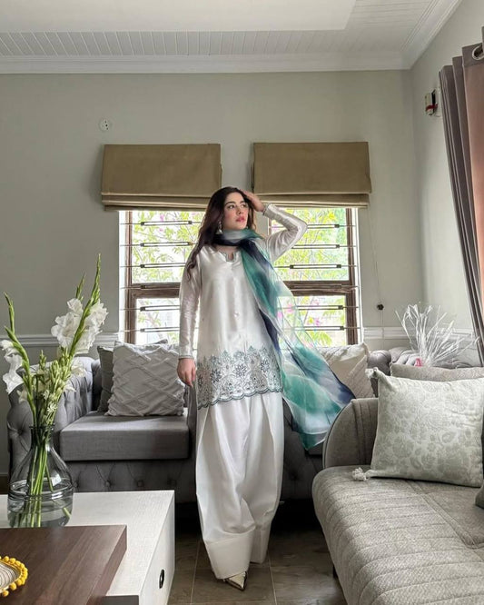 DESIGNER WEAR EXCLUSIVE FARSI SALWAR SUIT