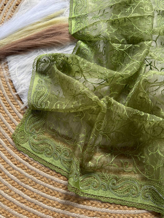 Pure Organza silk with shiny fabric in a solid color saree