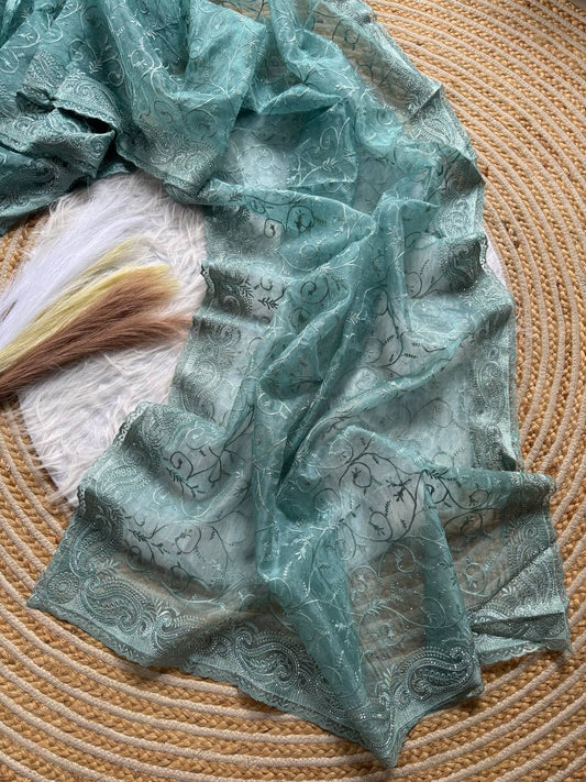 Pure Organza silk with shiny fabric in a solid color saree