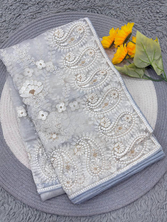 Organza Silk and the making being chikankari Saree