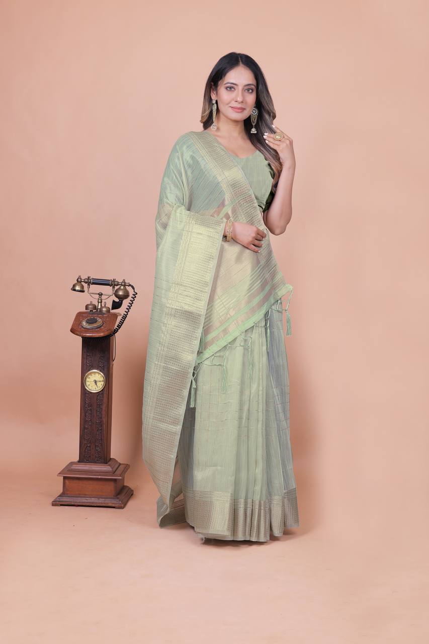 Beautiful Establishe Embroidery Sequence Work Saree