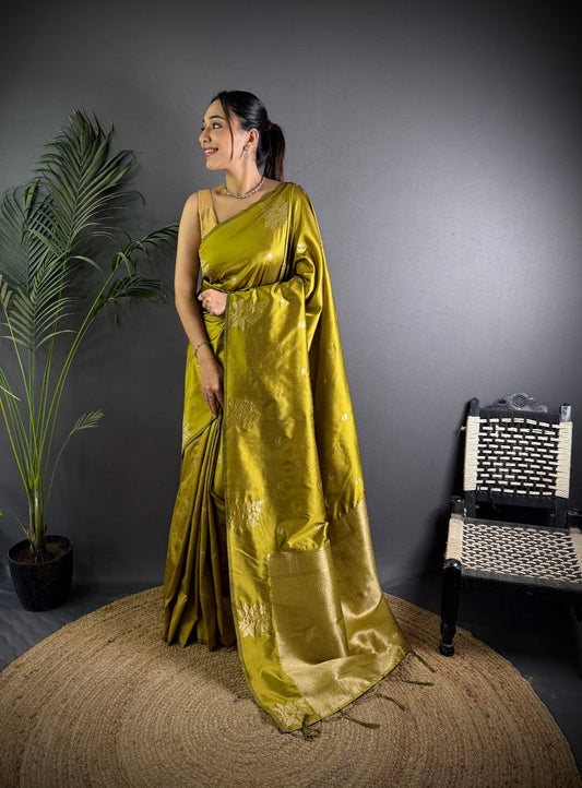 Je recherche quelqu'un pour ce magnifique sari de la même couleur