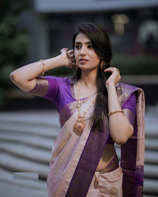 SOFT LICHI SILK CLOTH SAREE