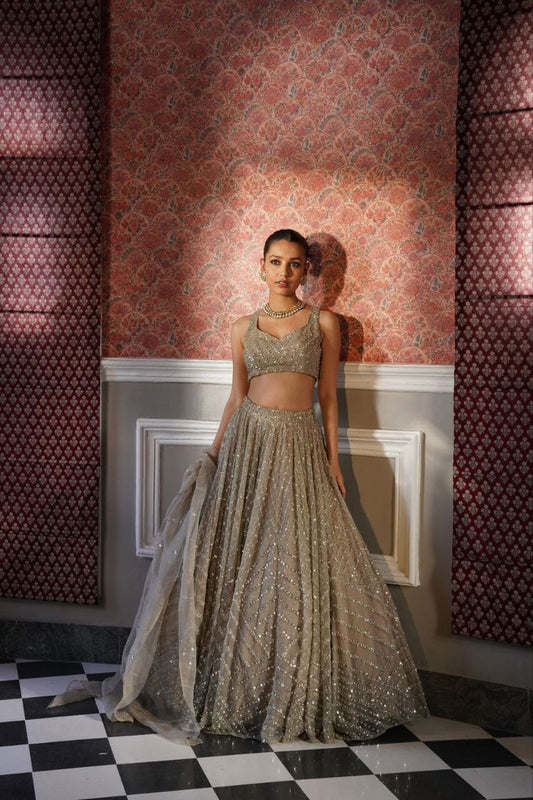 Presenting You Most Beautiful Most Trending Lehenga Collection