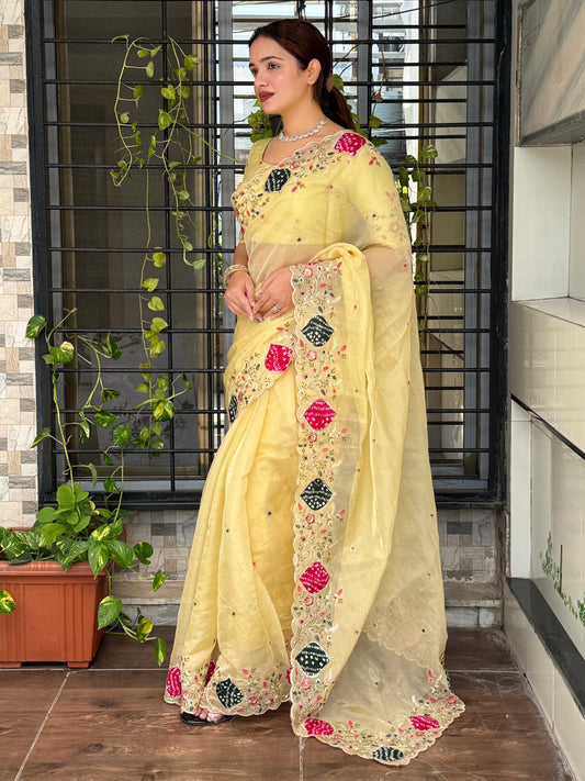 Pastel perfection meets royal elegance saree