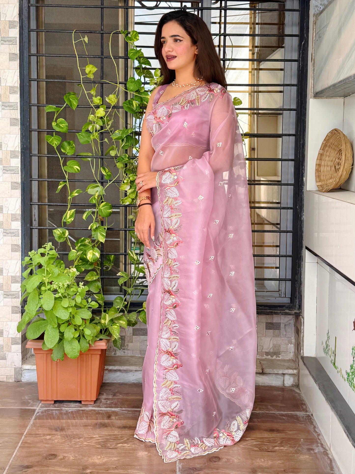 Leno net organza pastal shades saree