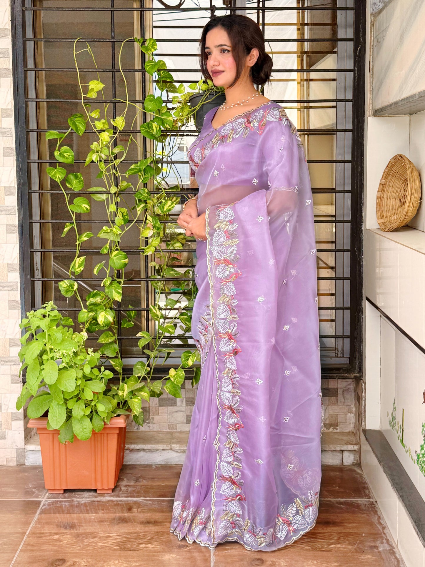Leno net organza pastal shades saree