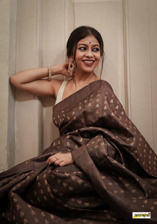 Banarasi Soft Silk Saree