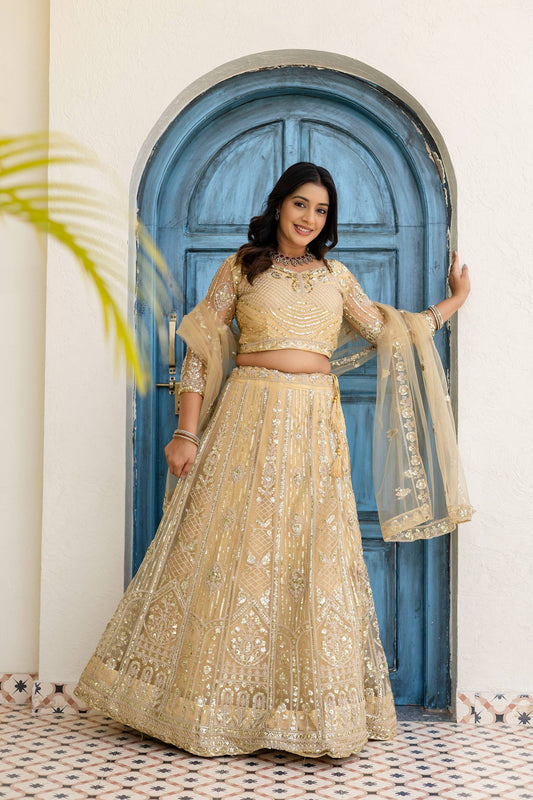 Butterfly Net Sequins and Codding Embroidery Work Lehenga Choli