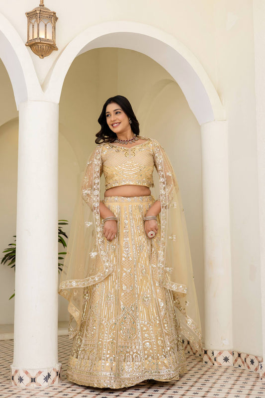 Butterfly Net Sequins and Codding Embroidery Work Lehenga Choli