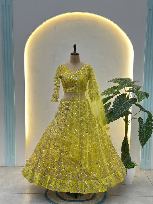 Butterfly Net Sequins and Codding Embroidery Work Lehenga