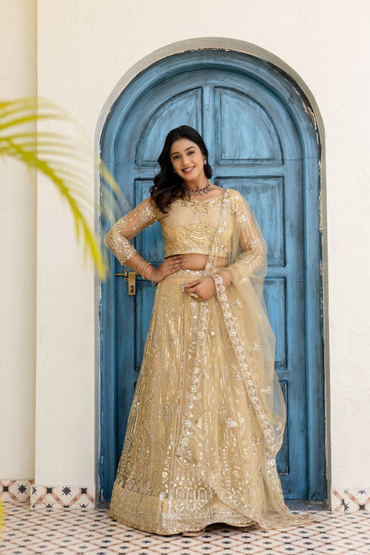 Butterfly Net Sequins and Codding Embroidery Work Lehenga