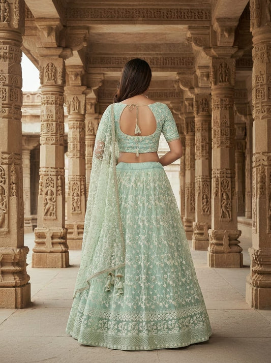 Net Multi Sequence embroidery Lehenga
