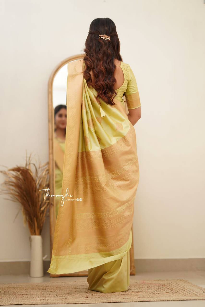 SOFT LICHI SILK CLOTH SAREE