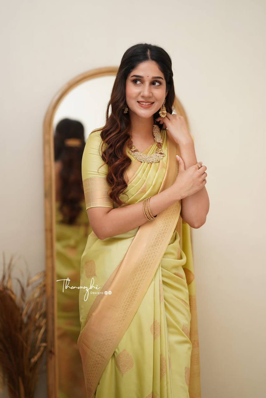 SOFT LICHI SILK CLOTH SAREE