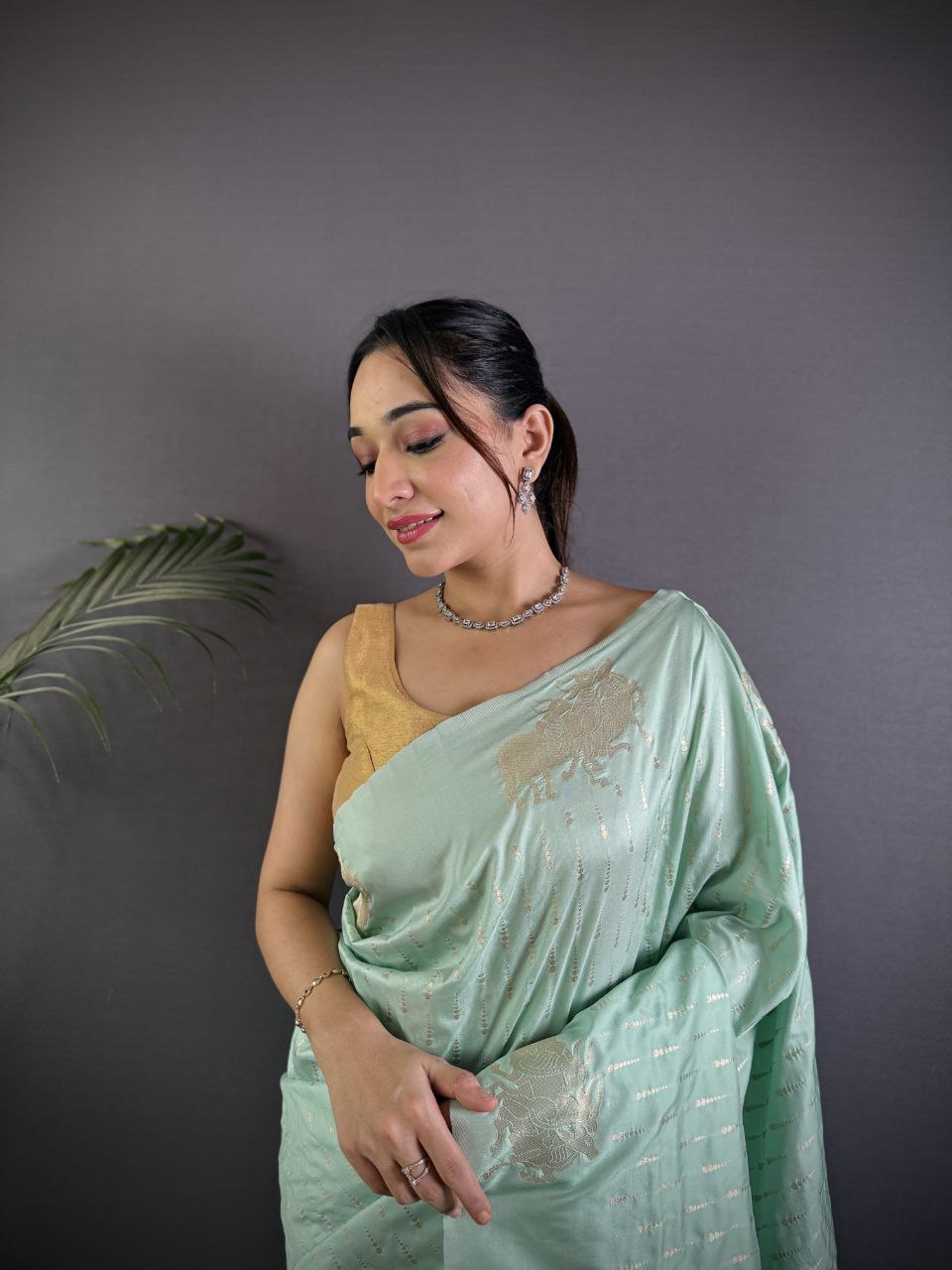 Je recherche quelqu'un pour ce magnifique sari de la même couleur