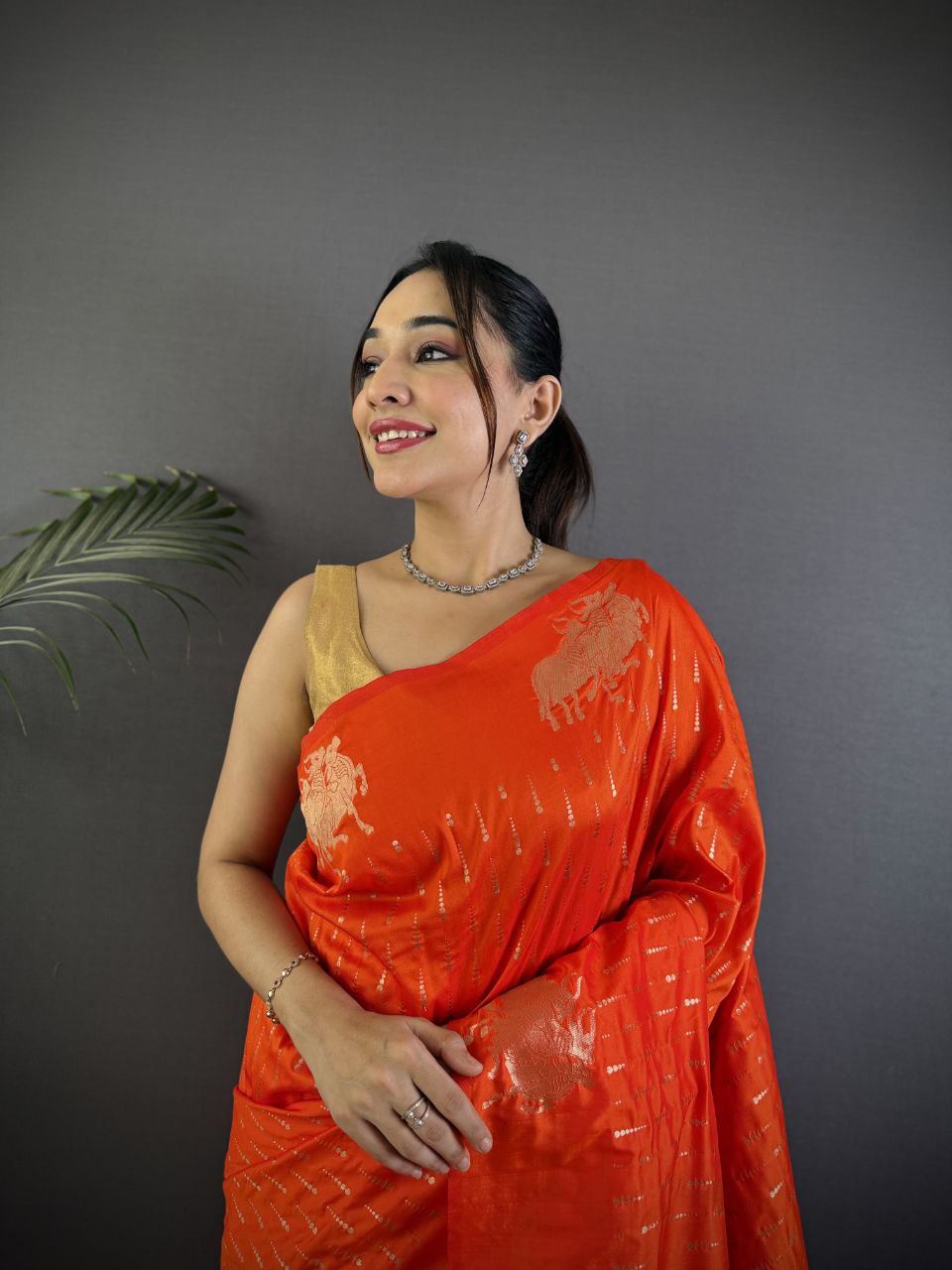 Je recherche quelqu'un pour ce magnifique sari de la même couleur