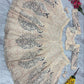 Premium Soft Butterfly Net Lehenga Embellished Lehenga Choli