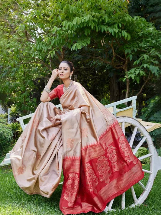 Je recherche quelqu'un pour ce magnifique sari de la même couleur