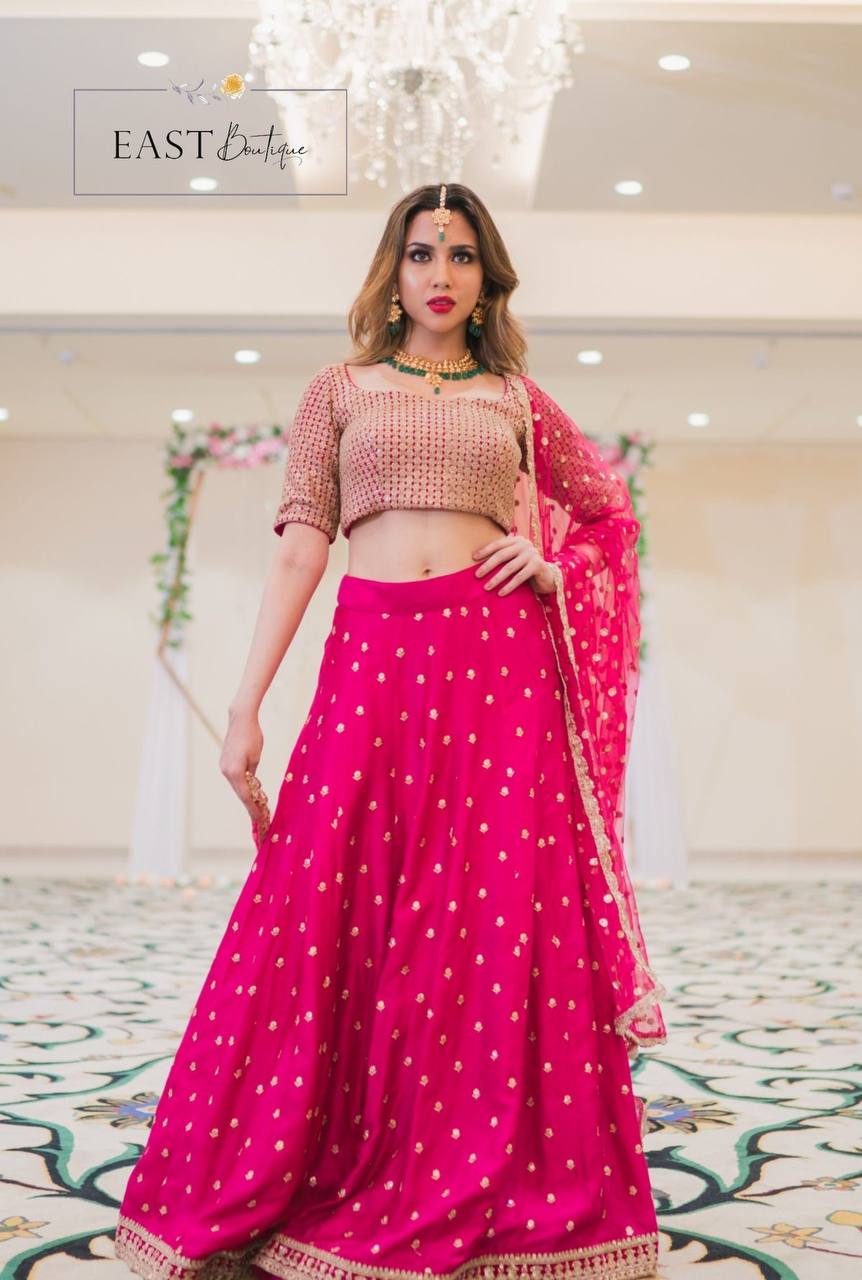 CHOLI LEHENGA BRODÉ EN VELOURS DE SÉQUENCE DE CORDON DE STYLE NEW BEUTIQUE