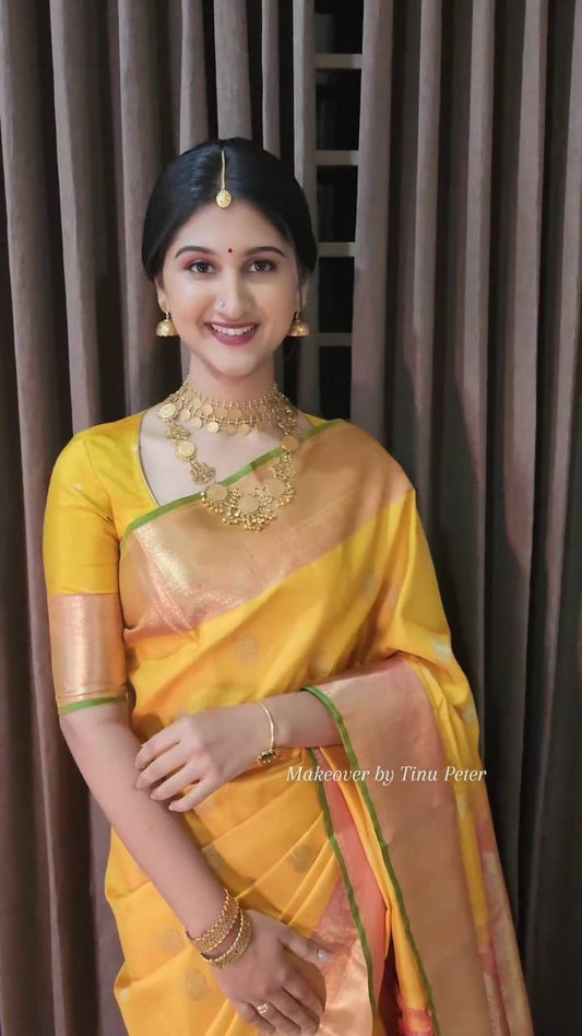 Je recherche quelqu'un pour ce magnifique sari de la même couleur