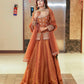 New Designer Party Top Lehenga & Dupatta
