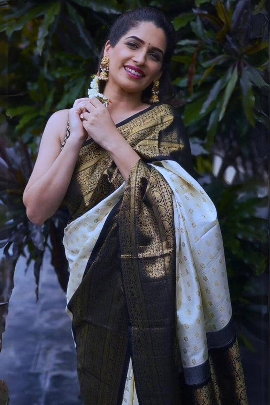 SOFT LICHI SILK CLOTH SAREE