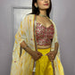 elevate your style with this Stylish Indo western Lehenga set