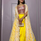 elevate your style with this Stylish Indo western Lehenga set