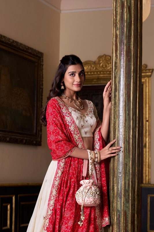 Célébrez le charme de la culture indienne avec ce magnifique ensemble lehenga