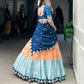 Zari Weaving Work With Sequins and Thread Embroidery Scallop Lace Border Lehenga