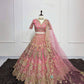 Launching 4 meter flared Butterfly Net Lehenga