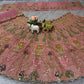 Launching 4 meter flared Butterfly Net Lehenga