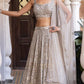 Je vous présente la plus belle collection de Lehenga la plus tendance