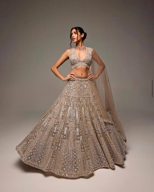 Net lehenga with sequins dori & thread work