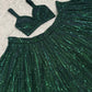 Net lehenga with rainbow sequins & dori work choli