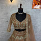 Launching 4 meter flared Premium Quality Soft Net Lehenga