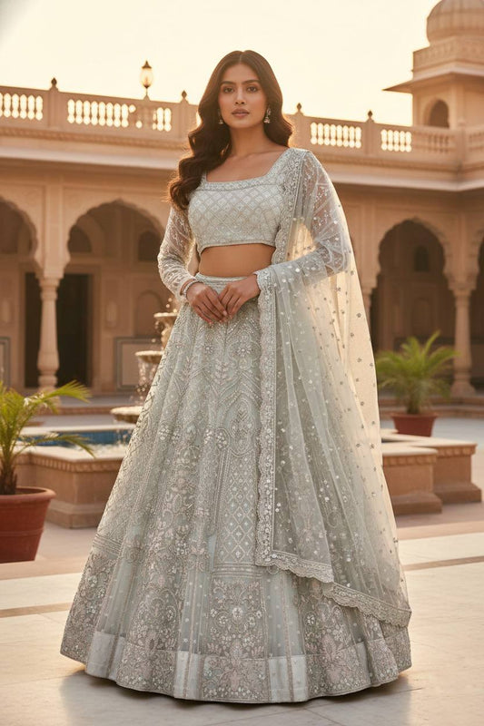 Launching 4 Meter Flared Premium Butterfly Net Lehenga