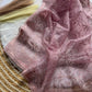 Pure Organza silk  with shiny fabric in a solid color saree