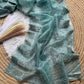 Pure Organza silk  with shiny fabric in a solid color saree