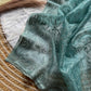 Pure Organza silk  with shiny fabric in a solid color saree