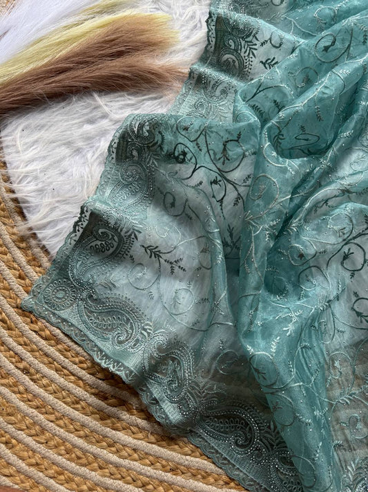 Pure Organza silk  with shiny fabric in a solid color saree