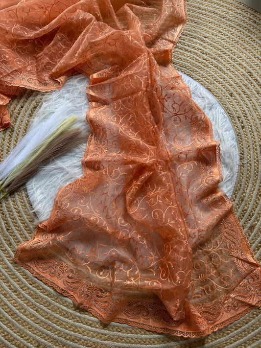 Pure Organza silk  with shiny fabric in a solid color saree