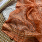 Pure Organza silk  with shiny fabric in a solid color saree