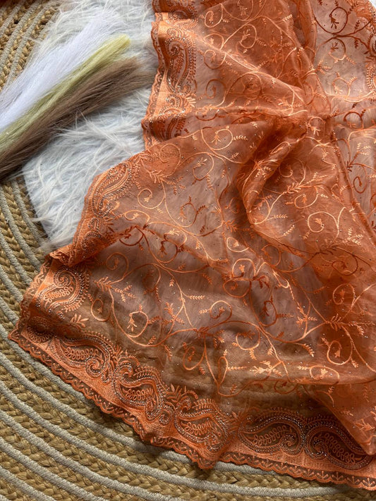 Pure Organza silk  with shiny fabric in a solid color saree
