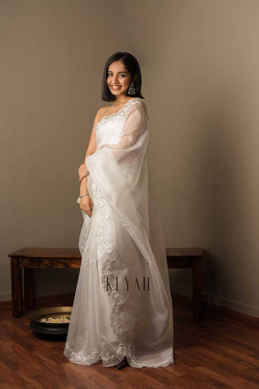 Soft Tabby orgenza fabric sequins embroidered work Saree