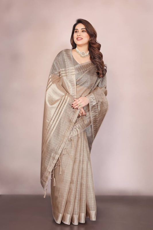 Beautiful Establishe Embroidery Sequence Work Saree